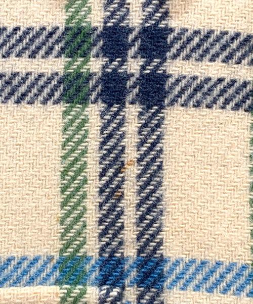 PENDLETON（ペンドルトン）PENDLETON (ペンドルトン) 60sネルシャツ ベージュ×ブルー サイズ:Mの古着・服飾アイテム