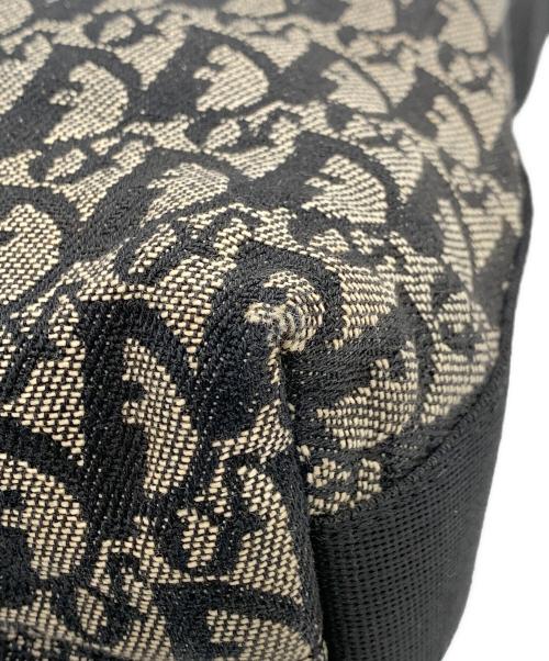 Christian Dior（クリスチャン ディオール）Christian Dior (クリスチャン ディオール) トロッター ショルダーバッグ ベージュの古着・服飾アイテム