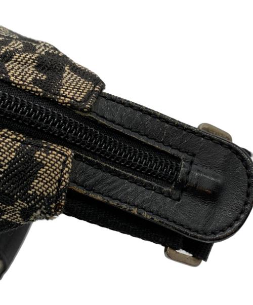 Christian Dior（クリスチャン ディオール）Christian Dior (クリスチャン ディオール) トロッター ショルダーバッグ ベージュの古着・服飾アイテム