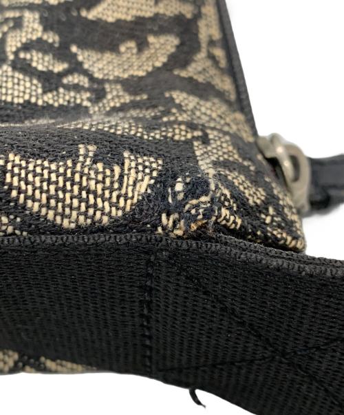 Christian Dior（クリスチャン ディオール）Christian Dior (クリスチャン ディオール) トロッター ショルダーバッグ ベージュの古着・服飾アイテム