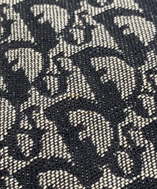 Christian Dior（クリスチャン ディオール）Christian Dior (クリスチャン ディオール) トロッター ショルダーバッグ ベージュの古着・服飾アイテム