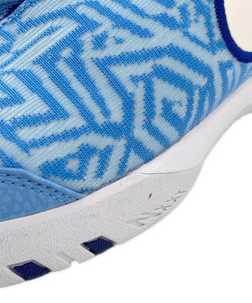 NIKE（ナイキ）NIKE (ナイキ) レブロン NXXT ジーニサス EP スカイブルー サイズ:US：10.5の古着・服飾アイテム