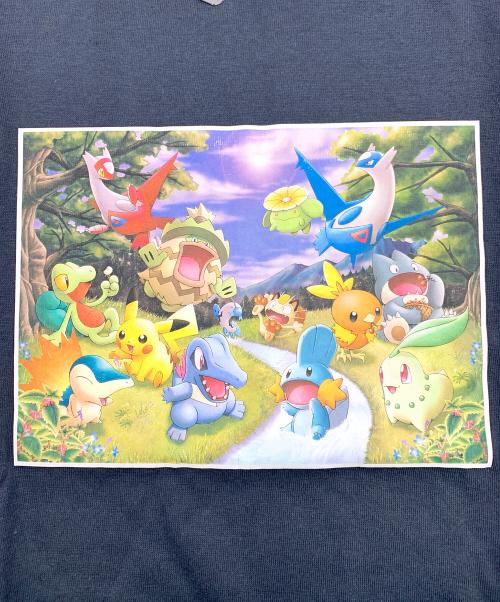 Pokemon Center（ポケモンセンター）Pokemon Center (ポケモンセンター) Pokémon Spring Tシャツ サイズ:Lの古着・服飾アイテム