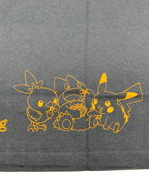 Pokemon Center（ポケモンセンター）Pokemon Center (ポケモンセンター) Pokémon Spring Tシャツ サイズ:Lの古着・服飾アイテム