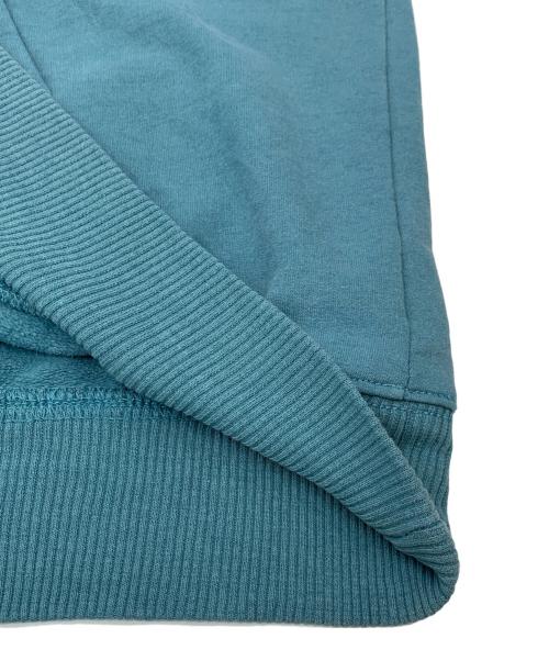 THE NORTH FACE（ザ ノース フェイス）THE NORTH FACE (ザ ノース フェイス) パーカー ブルー サイズ:Lの古着・服飾アイテム