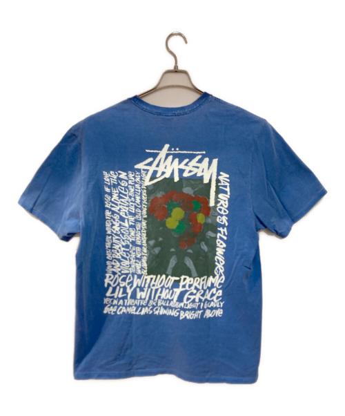 stussy（ステューシー）stussy (ステューシー) Camellias Pig Dyed Tee 