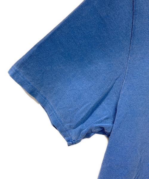 stussy（ステューシー）stussy (ステューシー) Camellias Pig Dyed Tee 