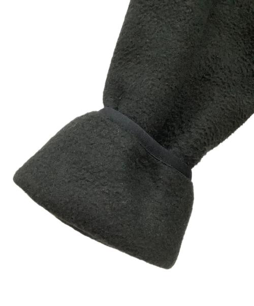 THE NORTH FACE（ザ ノース フェイス）THE NORTH FACE (ザ ノース フェイス) Denali Hoodie ブラック サイズ:Lの古着・服飾アイテム