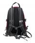 THE NORTH FACE (ザ ノース フェイス) リュック HOT SHOT レッド：10000円
