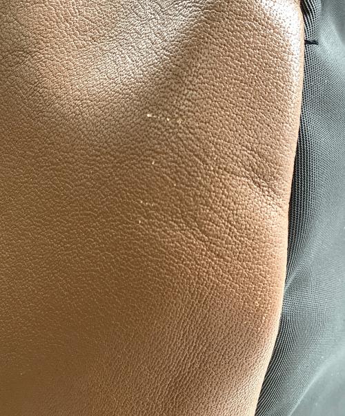 COACH（コーチ）COACH (コーチ) リュック ベージュ×ブラウンの古着・服飾アイテム