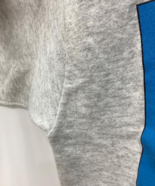 TULTEX（タルテックス）TULTEX (タルテックス) 90s プリントスウェット バックスバニー グレー×ブルー サイズ:Mの古着・服飾アイテム