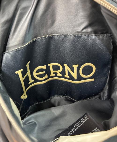 HERNO（ヘルノ）HERNO (ヘルノ) リバーシブルダウンジャケット ネイビー×ブラウン サイズ:SIZE 48の古着・服飾アイテム