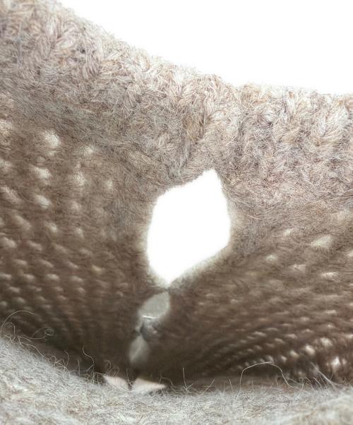 Sea Room lynn（シールームリン）Sea Room Lynn (シールームリン) ニットカーディガン ベージュ サイズ:F 未使用品の古着・服飾アイテム