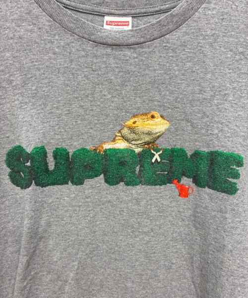SUPREME（シュプリーム）Supreme (シュプリーム) 20ss Lizard Tee 半袖Tシャツ グレー サイズ:Mの古着・服飾アイテム
