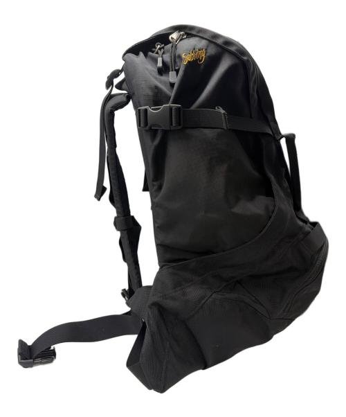 ARC'TERYX（アークテリクス）ARC'TERYX (アークテリクス) BEAMS (ビームス) 40th別注 SEBRING BACK PACK ブラックの古着・服飾アイテム