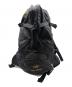 ARC'TERYX（アークテリクス）の古着「40th別注 SEBRING BACK PACK」｜ブラック