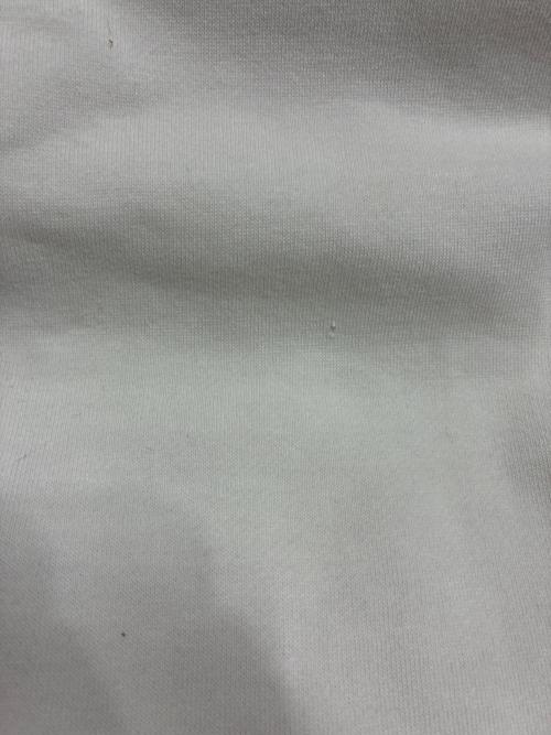 stussy（ステューシー）stussy (ステューシー) USA製 ラスタ トムトム スウェット ホワイト×グレー サイズ:SIZE XLの古着・服飾アイテム
