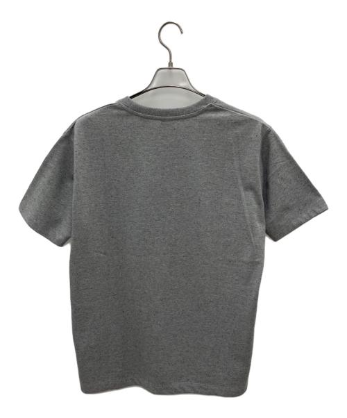 NANGA（ナンガ）NANGA (ナンガ) 半袖カットソー グレー サイズ:Mの古着・服飾アイテム
