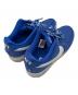 NIKE (ナイキ) スニーカー ブルー サイズ:29cm：8000円
