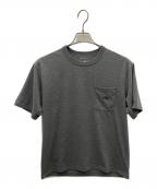 THE NORTH FACEザ ノース フェイス）の古着「Tシャツ」｜グレー