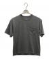THE NORTH FACE（ザ ノース フェイス）の古着「Tシャツ」｜グレー