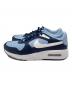 NIKE (ナイキ) スニーカー ブルー サイズ:27.5：5000円
