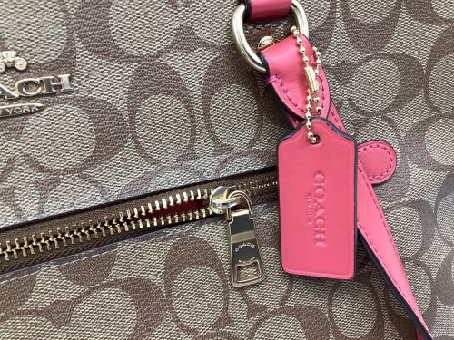 COACH（コーチ）COACH (コーチ) トートバッグ ブラウンの古着・服飾アイテム