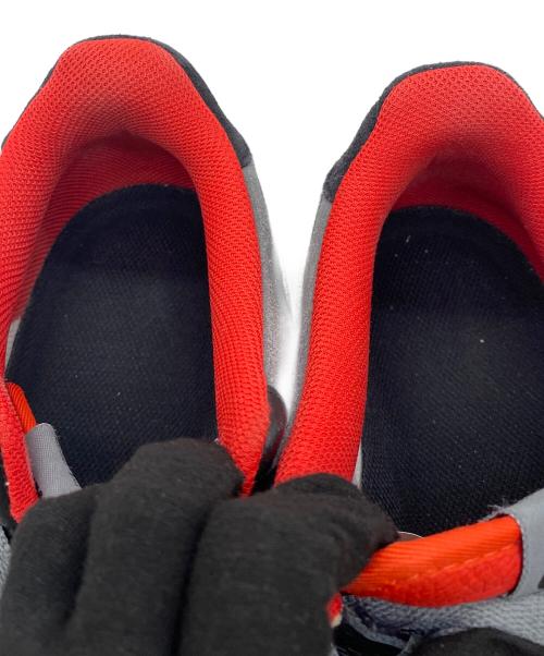 NIKE（ナイキ）NIKE (ナイキ) ローカットスニーカー グレー×ベージュ サイズ:29.5cmの古着・服飾アイテム