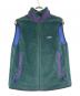 Patagonia（パタゴニア）の古着「フリースベスト」｜グリーン