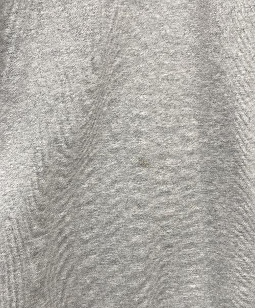 THE NORTH FACE（ザ ノース フェイス）THE NORTH FACE (ザ ノース フェイス) ジップパーカー グレー サイズ:Ｌの古着・服飾アイテム