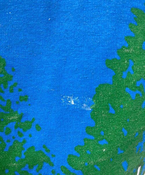 FRUIT OF THE LOOM（フルーツオブザルーム）FRUIT OF THE LOOM (フルーツオブザルーム) 半袖カットソー ライトグレー サイズ:XLの古着・服飾アイテム