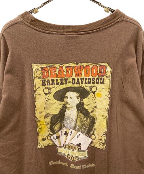 HARLEY-DAVIDSON（ハーレーダビッドソン）HARLEY-DAVIDSON (ハーレーダビッドソン) 半袖カットソー ブラウン サイズ:2XLの古着・服飾アイテム
