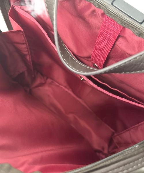 SWANY（スワニー）Swany (スワニー) キャリーバッグ ブラウンの古着・服飾アイテム