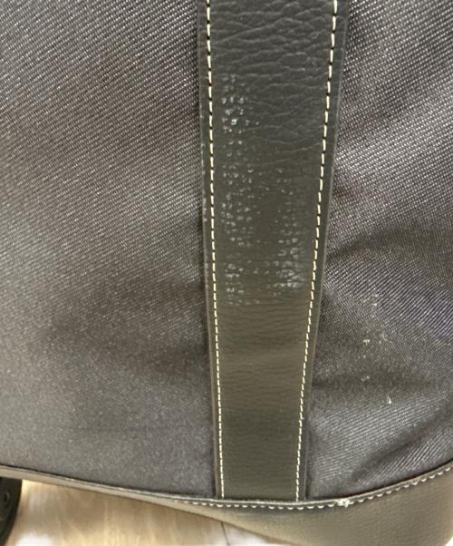 SWANY（スワニー）SWANY (スワニー) キャリーバッグ ブラックの古着・服飾アイテム
