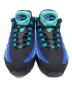 NIKE (ナイキ) ローカットスニーカー ブラック×ブルー×グリーン サイズ:27㎝：10000円