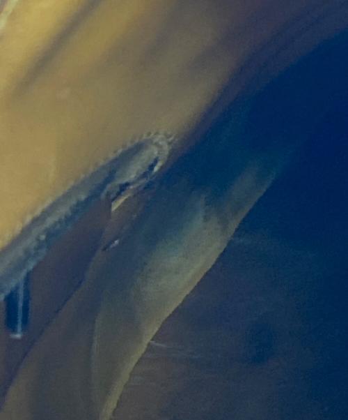 Edward Green（エドワードグリーン）Edward Green (エドワードグリーン) パンチドキャップトゥシューズ ブラウン サイズ:7 1/2の古着・服飾アイテム