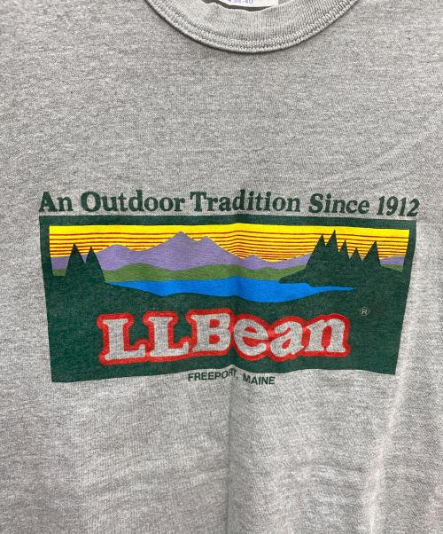 L.L.Bean（エルエルビーン）L.L.Bean (エルエルビーン) Hanes (ヘインズ) プリントTシャツ グレー サイズ:M 38-40の古着・服飾アイテム