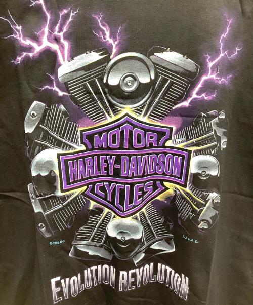 HARLEY-DAVIDSON（ハーレーダビッドソン）HARLEY-DAVIDSON (ハーレーダビッドソン) HOLOUBEK (ホロウベック) 半袖カットソー ブラック サイズ:M 未使用品の古着・服飾アイテム