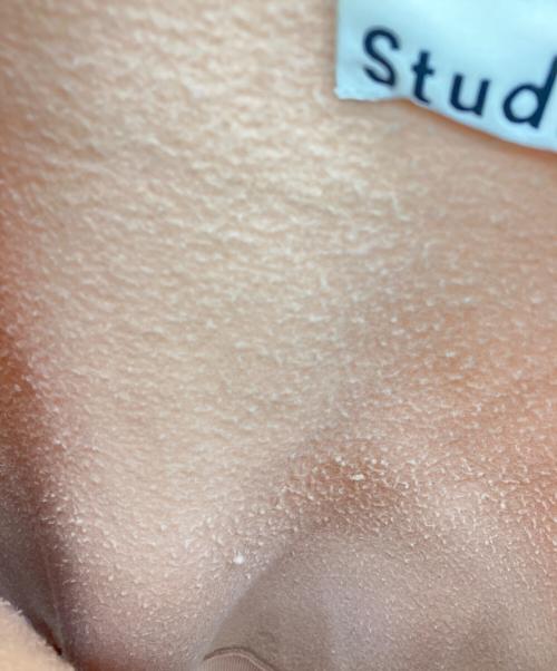 Acne studios（アクネ ストゥディオズ）Acne studios (アクネ ストゥディオズ) BIRD PAW14　スウェット ピンク サイズ:XXSの古着・服飾アイテム