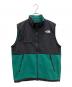 THE NORTH FACE（ザ ノース フェイス）の古着「デナリベスト」｜グリーン