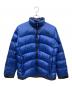 THE NORTH FACE（ザ ノース フェイス）の古着「アコンカグアジャケット」｜ブルー