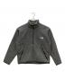 THE NORTH FACE（ザ ノース フェイス）の古着「ハーフジップフリースジャケット」｜グレー