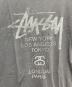 中古・古着 stussy (ステューシー) Champion (チャンピオン) 半袖カットソー ブラック サイズ:SIZE XL：7000円