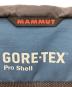 中古・古着 MAMMUT (マムート) GORE-TEXオールラウンダージャケット ブルー サイズ:M：15000円