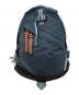 GREGORY（グレゴリー）の古着「DAY PACK 1977」｜ブルー