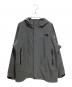 THE NORTH FACE（ザ ノース フェイス）の古着「マウンテンパーカー」｜グレー