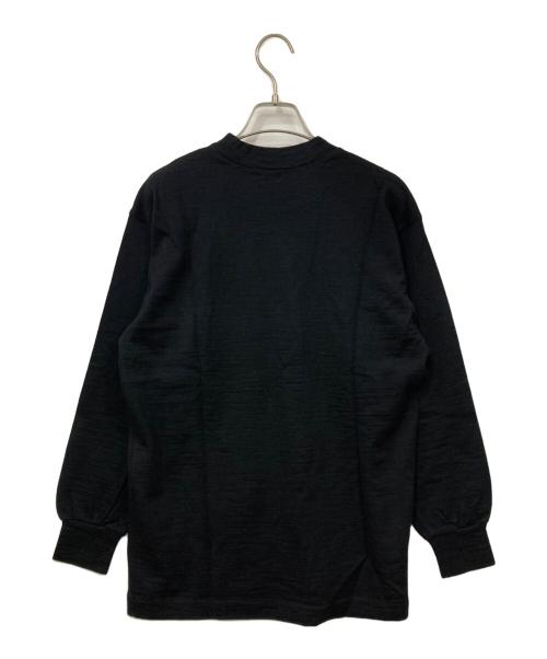COMME des GARCONS HOMME（コムデギャルソン オム）COMME des GARCONS HOMME (コムデギャルソン オム) モックネックニット ブラック サイズ:-の古着・服飾アイテム