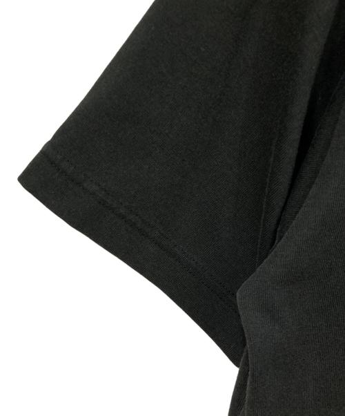 THE NORTH FACE（ザ ノース フェイス）THE NORTH FACE (ザ ノース フェイス) 半袖カットソー ブラック×ホワイト サイズ:Mの古着・服飾アイテム