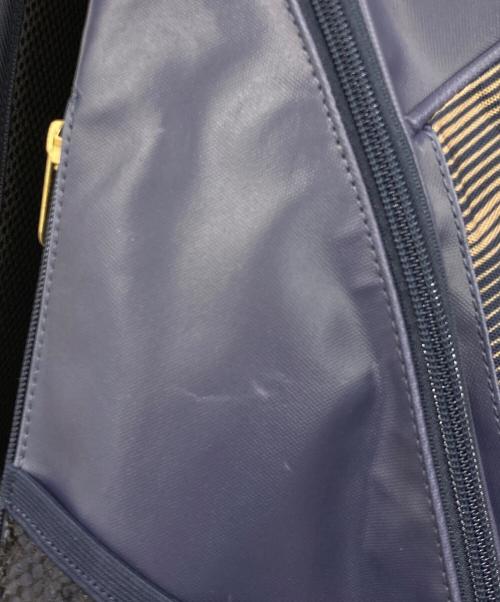 DESCENTE（デサント）DESCENTE (デサント) オリックス・バファローズ (オリックス・バファローズ) バックパック ネイビー×ゴールド 未使用品の古着・服飾アイテム