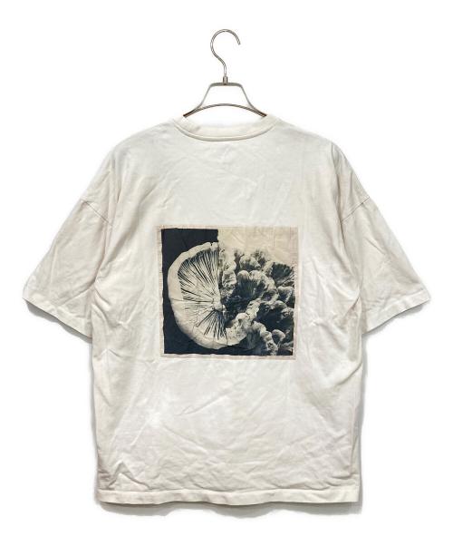 OAMC（オーエーエムシー）OAMC (オーエーエムシー) カットソー ホワイト×ブラック サイズ:Sの古着・服飾アイテム